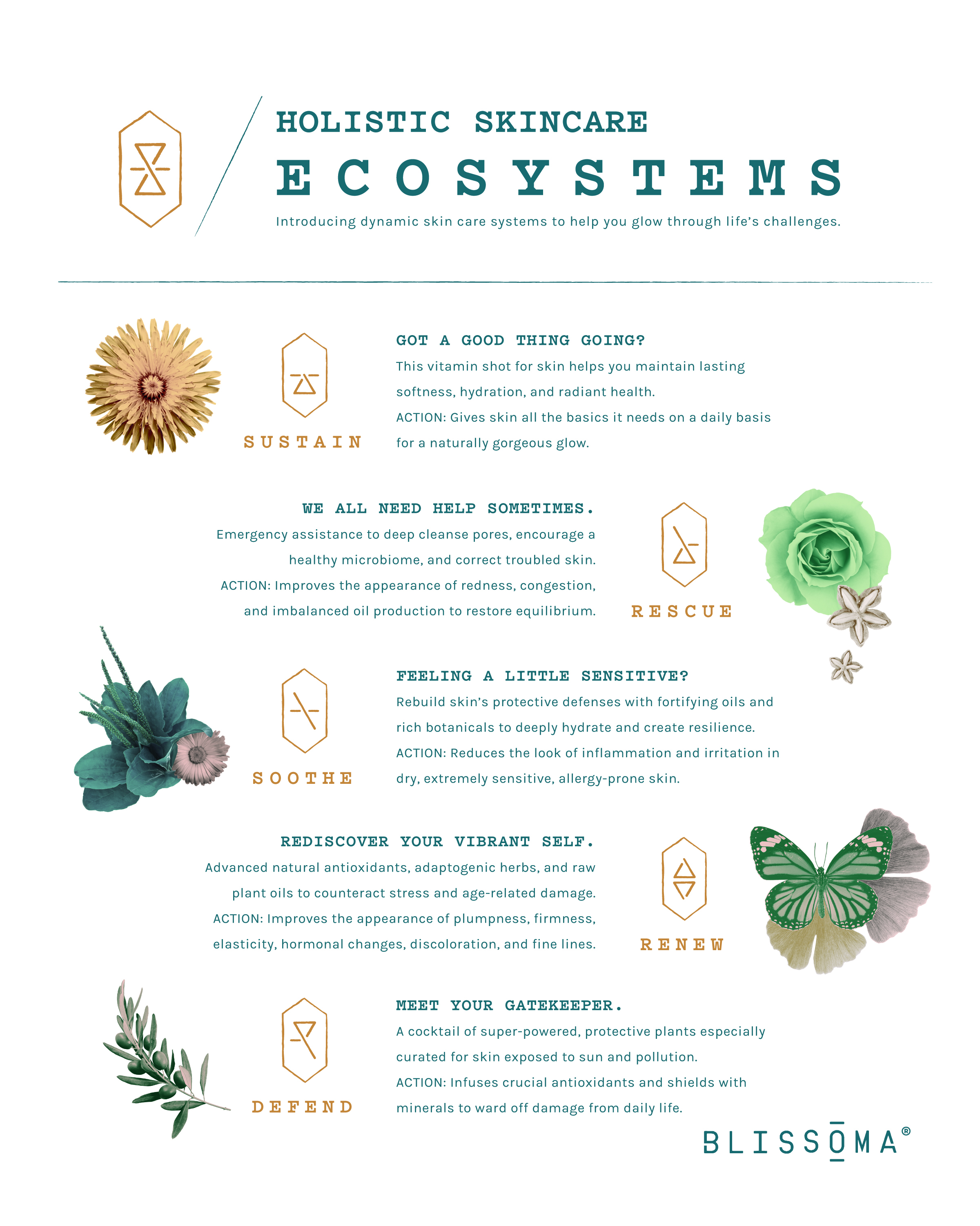 Ecosystems-8x10sign-teal (1)